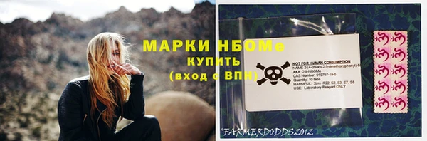 стафф Кодинск