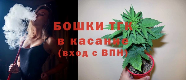 стафф Кодинск