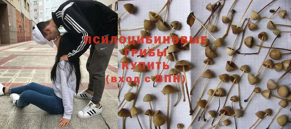 синтетический гашиш Козловка