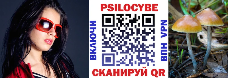 Псилоцибиновые грибы Psilocybe Новая Усмань