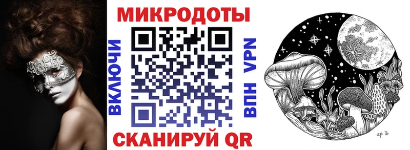 закладки  Новая Усмань  Галлюциногенные грибы Psilocybe 